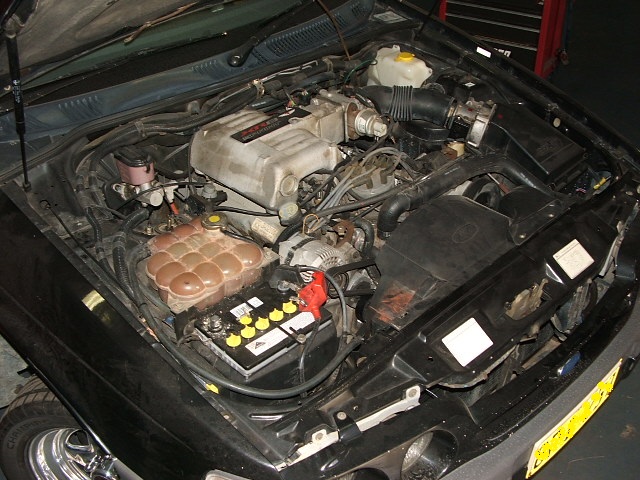 FORD ED XR8 Sprint — photograph 5